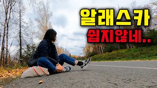 걸어서 알래스카 대자연 대모험 ⎥🇺🇸미국4