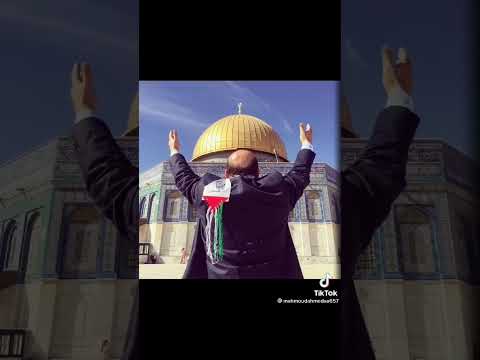 شهدانا قوافل وعزمنا جبال 