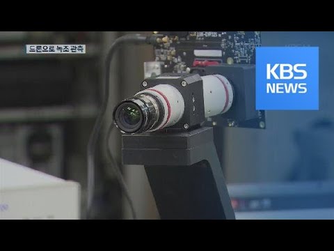 드론으로 녹조 관측…“대응 빨라져” / KBS뉴스(News)
