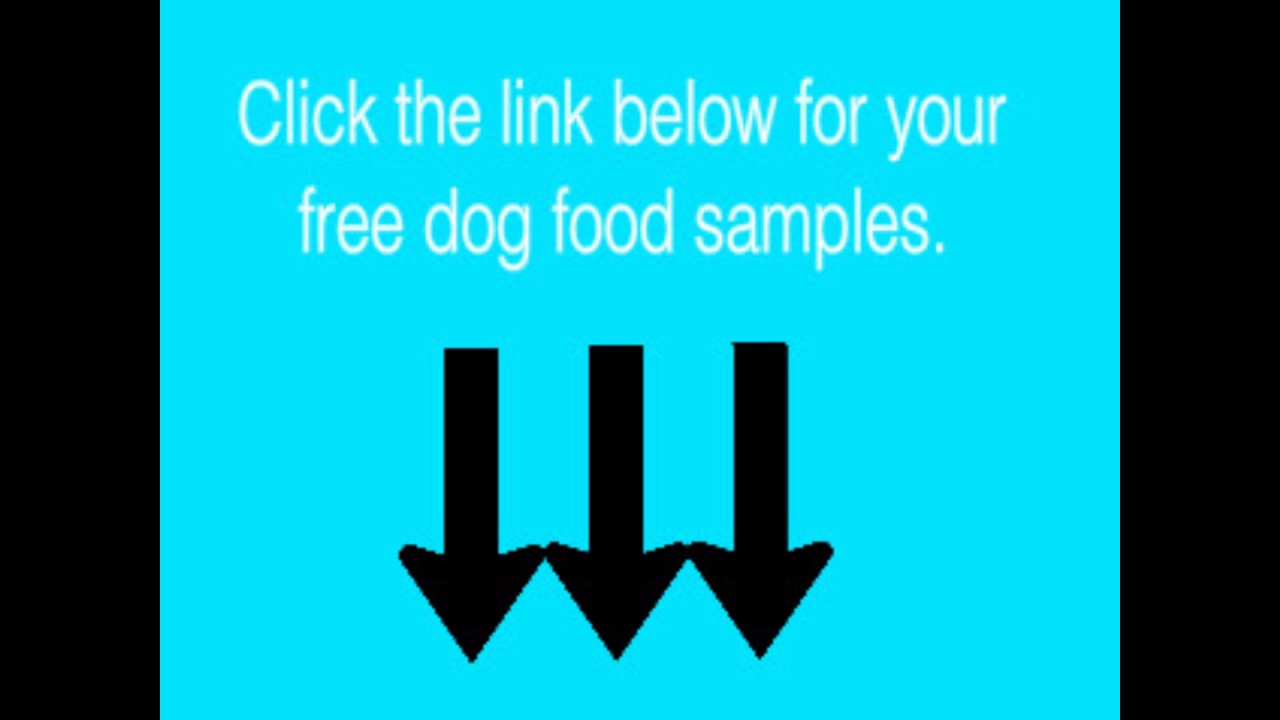 Free Dog Food Samples - Get Free Dog Food, Products, and Treats