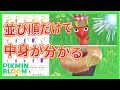 もう仲良し度を4にしなくてもいい‥ピクミンをデコ化しなくても、事前に中身を判別する方法【#ピクミンブルーム / #PikminBloom 】