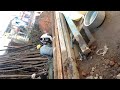 Ghar ka renovation++ some new construction by papa ji