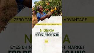 Nigeria eyes China’s zero tariffs as real trade gains