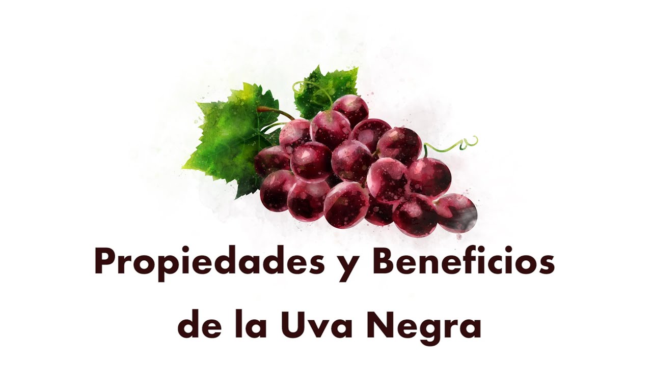 PROPIEDADES Y BENEFICIOS DE LA UVA NEGRA