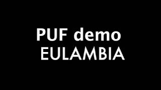 PUF final review   DEMO