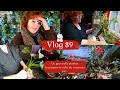 Vlog 89 un gros colis plantes  je prpare le colis du concours  plantations au jardin  arrosage