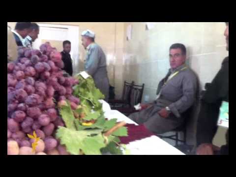 معرض للعنب في دهوك