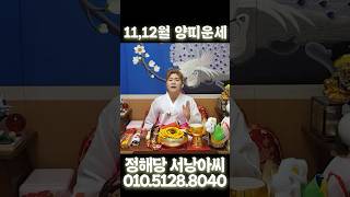[11,12월 양띠운세] 나이대별운세 대박운세 띠별운세 사주 신점 영점 강원도점집 원주점집 점집추천 금전운 …