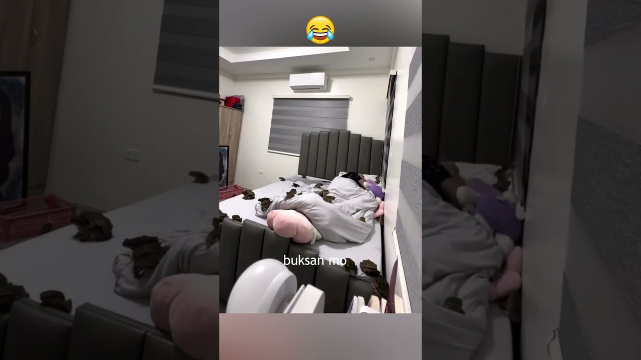 Frog Prank on Sleeping Girlfriend 😂