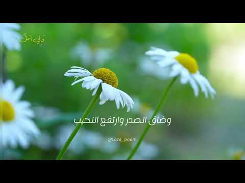 ولي أمل يوسف الأيوب