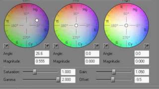 Sony Vegas Tutorial | Coloring #34