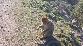 منطقة سياحية إقليم ناظور كوركو مناظر طبيعية روعة nador city