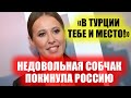 «В Турции тебе и место»: вечно недовольная Собчак в спешке покидает Россию