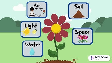The Needs of a Plant for Kids | What do Plants Need to Survive?