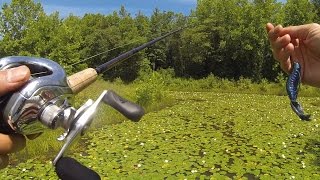 Punching Pads - Summer Pond Bassin In Bowie, Md