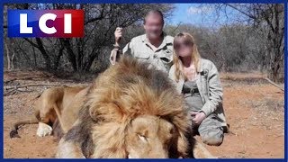 Des gérants d'un Super U quittent l'enseigne après la révélation de photos de chasse en Afrique