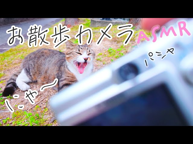 ASMR フォトウォーク耳かき (Public・街歩き)