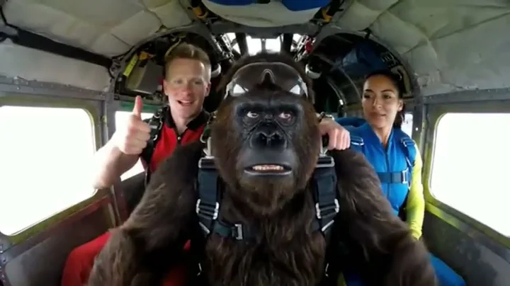 1hour  of Bigfoot funniest Vlogs in 4kHD |  Compilation #4