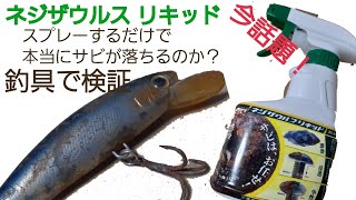 釣具お手入れ【ルアーのサビ落とし】ホームセンターで売ってた サビ落とし (ネジザウルス リキッド) 使ってみました