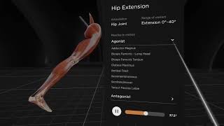 BodyMap v3.2: New Feature Animation of Leg