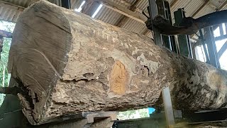 Jackfruit wood sawing process