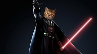 Video thumbnail of "Star Wars Cats - The Imperial March (Darth Vader's theme)"