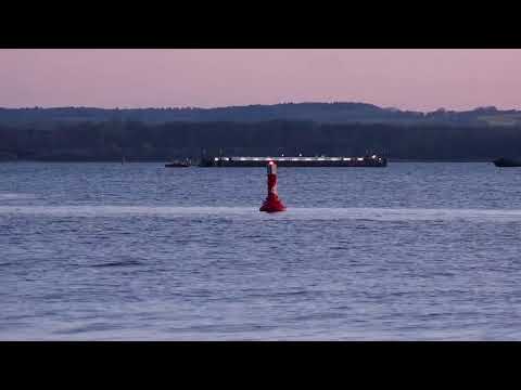 WATCH LIVE: Rescue operation for a humpback whale stranded in the Baltic Sea
