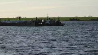 WATCH LIVE: Rescue operation for a humpback whale stranded in the Baltic Sea