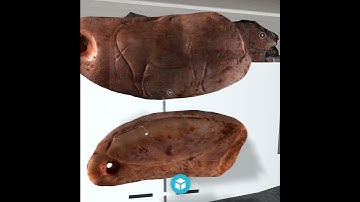 Sketchfab Cultural Heritage Weekly Top 10 3D Models 2021 Week 20