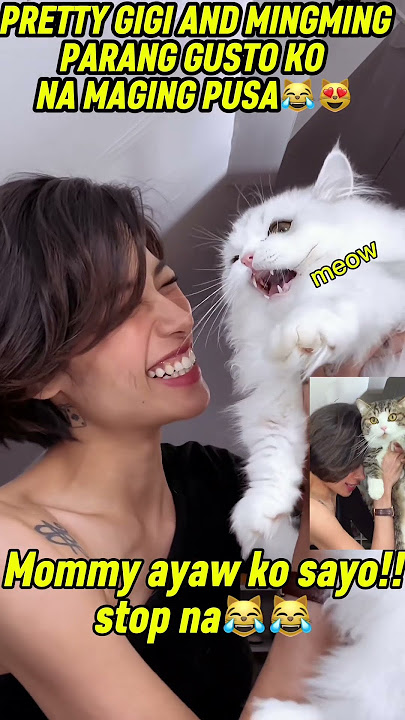 GIgi De Lana #catlovers #gigidelana #trending #viralvideo #viral #fyp #shorts #shortvideo #cat