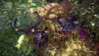 Division 2 | Wall Spawn