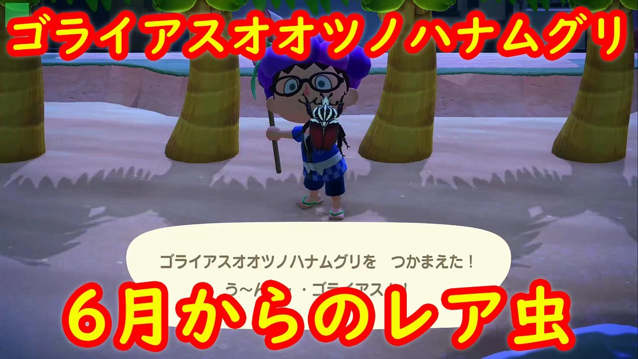 6月からのレア虫 ゴライアスオオツノハナムグリ 出現入手場所 売値 攻略 北半球 あつまれ どうぶつの森 あつ森 Youtube