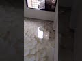 3D Epoxy flooring
