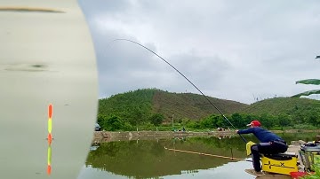 Câu Cá Chép Cũ Khó Hay Dễ, Chia Sẻ Kinh Nghiệm, Hành Trình Câu Cá Chép Nhiều Bất Ngờ