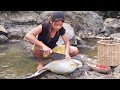 Yummy biggest fish cooking big fish with eggs for survival food while in the forest lisacooking2