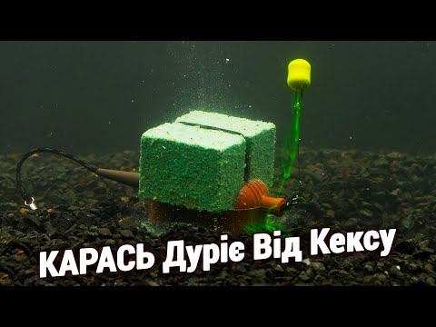 ХИТРА  ВИГДНА снасть на Карася та Коропа. Рибалка на КЕКС!