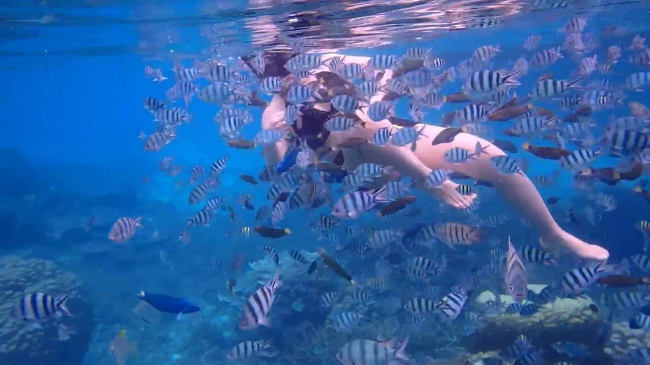 Snorkeling at Redang island - Malaysia 2016 - YouTube