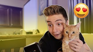 When Your Friend is Obsessed with CATS | Smile Squad Comedy