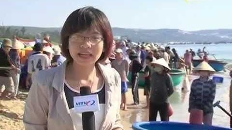 Mùa cá cơm nhiều khó khăn của ngư dân Bình Thuận