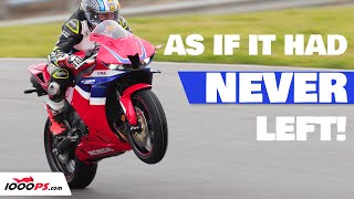 REVIEW  Honda CBR600RR 2024  comeback of the year!