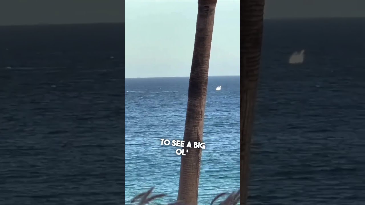 She Asked God To Show Her Something And This Happened 