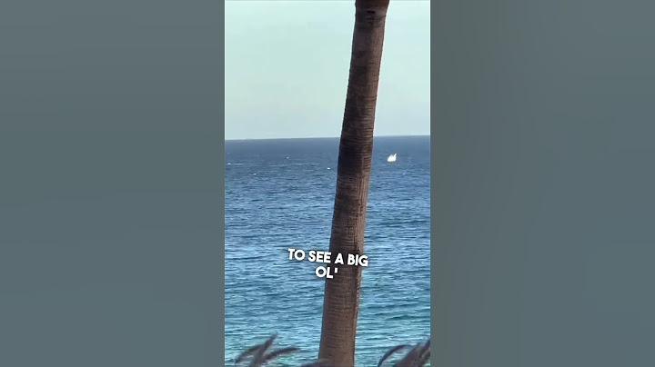 She asked God to show her something and this happened 😱