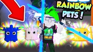 He Crafted A Full Team Of Rainbow Pets In Roblox Saber Simulator Youtube - roblox song pet simulator parody roblox music video