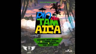 Rio De Jamaica Riddim Mix (February 2013)