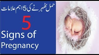 3 Common Signs of Pregnancy In Urdu| Hamal Thernay Ki Nishani In Urdu