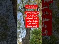 اللهم يارب يا قادر على كل شيء يارب المعجزات حقق لي مرادي وأسعد قلبي ادعو لنفسك 