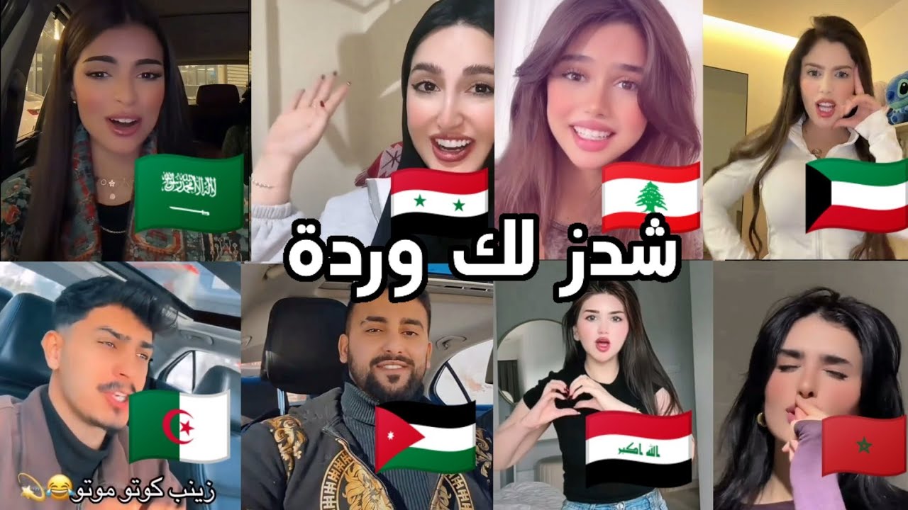 صافن شدزلك وردة كوتو موتو اغاني مطلوبة - ترند التيكتوك 