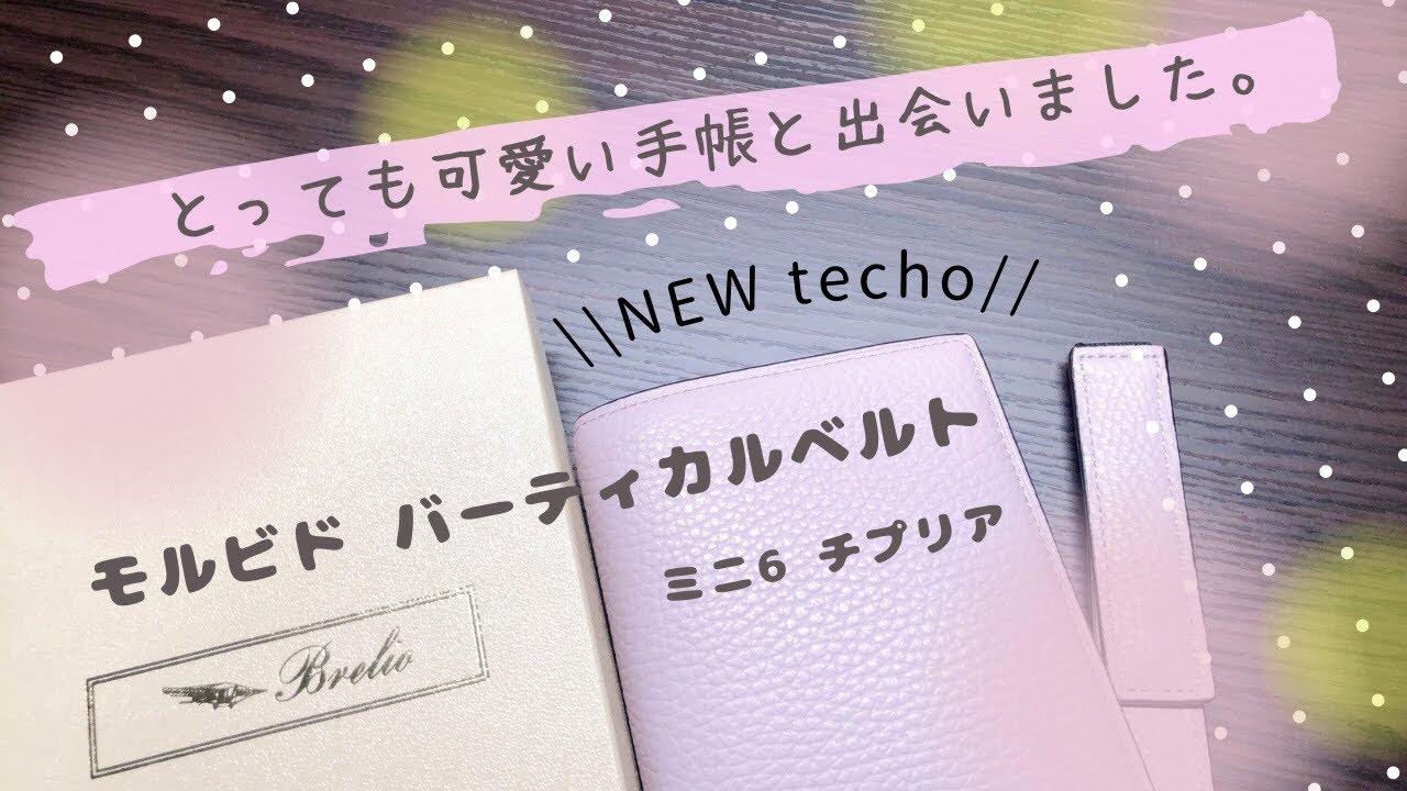 NEW手帳】モルビド バーティカルベルト/ミニ6 チプリア/可愛すぎ