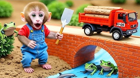 Monkey Nana Drives a Tractor to Harvest Watermelons and Faces a Funny Surprise funny monkey video 😂