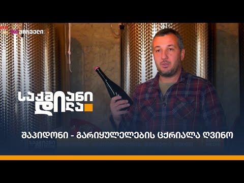 შაპიდონი - გარიყულელების ცქრიალა ღვინო
